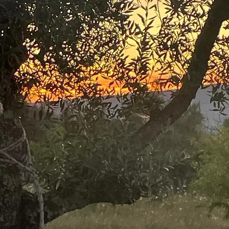 Quinta De Natureza  *
