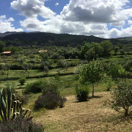Quinta De Natureza 木屋 Melo e Nabais