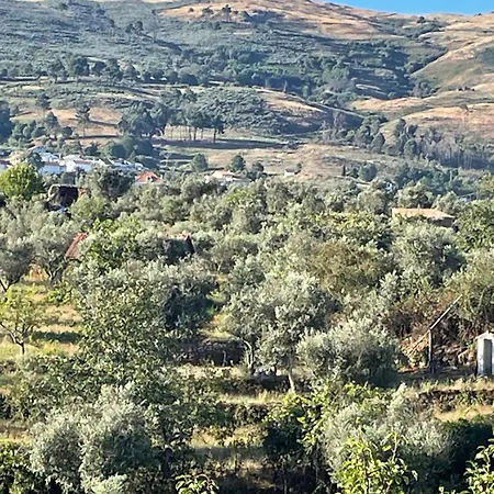  Quinta De Natureza *