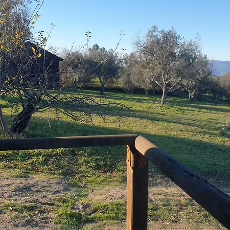Quinta De Natureza Melo e Nabais